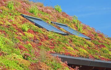 Hackness living roof systems